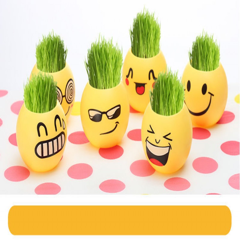 EMOJI PLANT